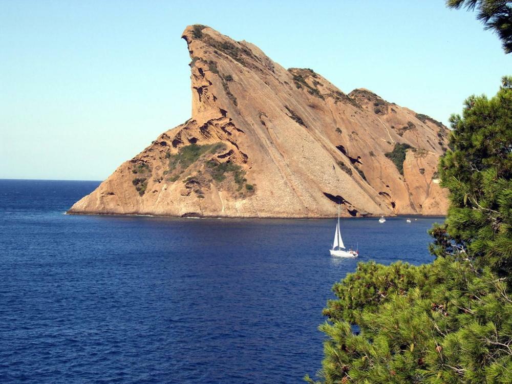 Appart. 4 Pers A 6 Kms De Cassis Avec Acces Piscine Roquefort-la-Bédoule Dış mekan fotoğraf